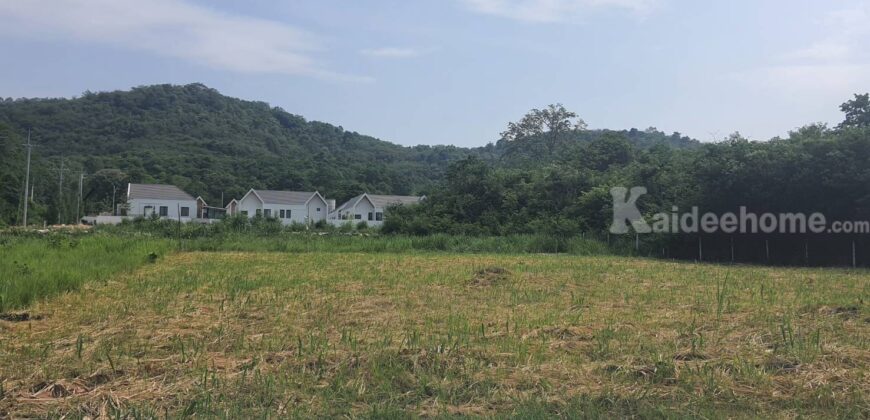 ขายที่วิวเขาใหญ่ 1 ไร่ หมูสี โป่งตาลอง สระน้ำใส ปากช่อง ที่สวยมาก วิวเขารอบด้าน ที่ลักษณะเชิงเนิน เทควิวเขาใหญ่สวยมาก เหมาะสร้างบ้านตากอากาศ พูลวิลล่า ใกล้ธนะรัชต์ ทอสคาน่า ขายถูก 087-9074045