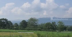 ขายที่วิวเขาใหญ่ 1 ไร่ หมูสี โป่งตาลอง สระน้ำใส ปากช่อง ที่สวยมาก วิวเขารอบด้าน ที่ลักษณะเชิงเนิน เทควิวเขาใหญ่สวยมาก เหมาะสร้างบ้านตากอากาศ พูลวิลล่า ใกล้ธนะรัชต์ ทอสคาน่า ขายถูก 087-9074045