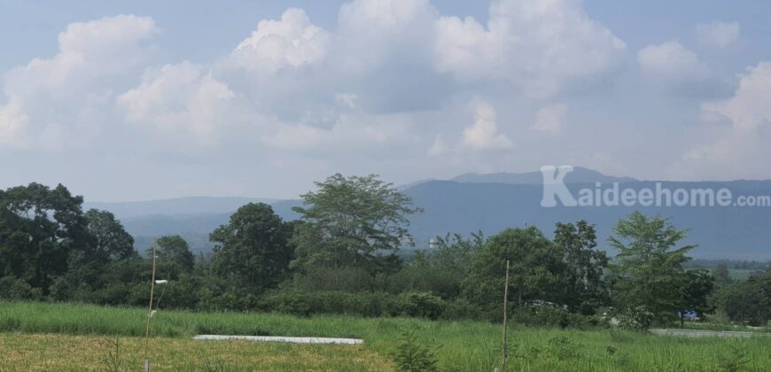 ขายที่วิวเขาใหญ่ 1 ไร่ หมูสี โป่งตาลอง สระน้ำใส ปากช่อง ที่สวยมาก วิวเขารอบด้าน ที่ลักษณะเชิงเนิน เทควิวเขาใหญ่สวยมาก เหมาะสร้างบ้านตากอากาศ พูลวิลล่า ใกล้ธนะรัชต์ ทอสคาน่า ขายถูก 087-9074045