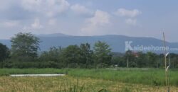 ขายที่วิวเขาใหญ่ 1 ไร่ หมูสี โป่งตาลอง สระน้ำใส ปากช่อง ที่สวยมาก วิวเขารอบด้าน ที่ลักษณะเชิงเนิน เทควิวเขาใหญ่สวยมาก เหมาะสร้างบ้านตากอากาศ พูลวิลล่า ใกล้ธนะรัชต์ ทอสคาน่า ขายถูก 087-9074045