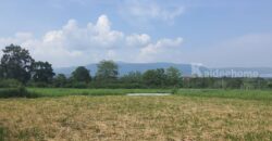 ขายที่วิวเขาใหญ่ 1 ไร่ หมูสี โป่งตาลอง สระน้ำใส ปากช่อง ที่สวยมาก วิวเขารอบด้าน ที่ลักษณะเชิงเนิน เทควิวเขาใหญ่สวยมาก เหมาะสร้างบ้านตากอากาศ พูลวิลล่า ใกล้ธนะรัชต์ ทอสคาน่า ขายถูก 087-9074045