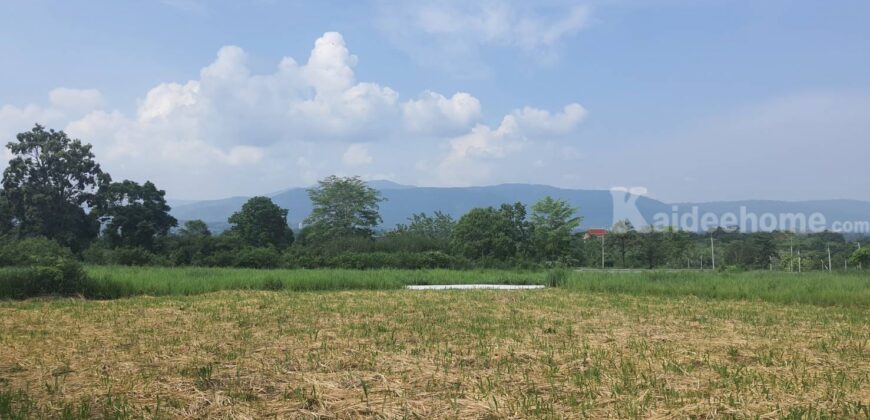 ขายที่วิวเขาใหญ่ 1 ไร่ หมูสี โป่งตาลอง สระน้ำใส ปากช่อง ที่สวยมาก วิวเขารอบด้าน ที่ลักษณะเชิงเนิน เทควิวเขาใหญ่สวยมาก เหมาะสร้างบ้านตากอากาศ พูลวิลล่า ใกล้ธนะรัชต์ ทอสคาน่า ขายถูก 087-9074045