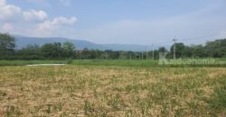 ขายที่วิวเขาใหญ่ 1 ไร่ หมูสี โป่งตาลอง สระน้ำใส ปากช่อง ที่สวยมาก วิวเขารอบด้าน ที่ลักษณะเชิงเนิน เทควิวเขาใหญ่สวยมาก เหมาะสร้างบ้านตากอากาศ พูลวิลล่า ใกล้ธนะรัชต์ ทอสคาน่า ขายถูก 087-9074045