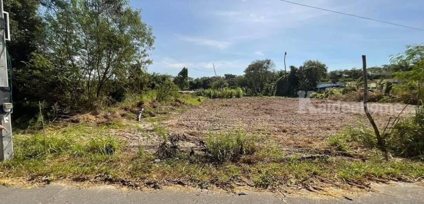 ขายที่ดิน ทำเลดี เนินกระปรอก-บ้านฉาง 2-0-57.6 ตรว.