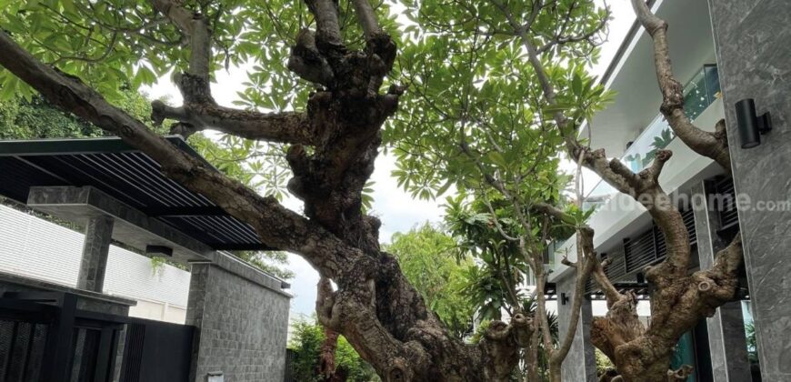 ขายบ้านหรู บรรยากาศส่วนตัว ในโครงการลดาวัลย์ เกษตร นวมินทร์ รีโนเวทใหม่ พร้อมเข้าอยู่