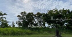 ขายที่ดิน 450 ตร.ว. หมู่บ้านปัญญา บางพระ ทำเลทอง อ.ศรีราชา จ.ชลบุรี เหมาะสร้างบ้านอยู่อาศัย โทร 063-469-5592