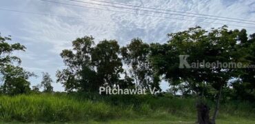 ขายที่ดิน 450 ตร.ว. หมู่บ้านปัญญา บางพระ ทำเลทอง อ.ศรีราชา จ.ชลบุรี เหมาะสร้างบ้านอยู่อาศัย โทร 063-469-5592