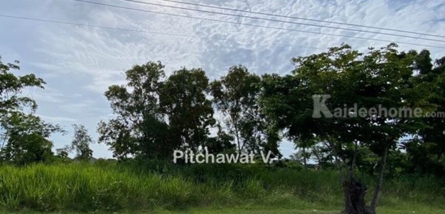 ขายที่ดิน 450 ตร.ว. หมู่บ้านปัญญา บางพระ ทำเลทอง อ.ศรีราชา จ.ชลบุรี เหมาะสร้างบ้านอยู่อาศัย โทร 063-469-5592