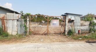 ขายที่ดิน ราคาถูกมาก ในซอยพุทธมณฑลสาย2 แยก11 เนื้อที่ 178 ตารางวา อยู่ริมถนนสาธารณะ โทร 081-874-8031