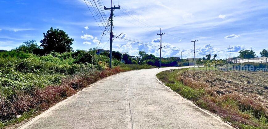 ขายที่ดิน นครปฐม หนองงูเหลือม อำเภอเมืองนครปฐม เนื้อที่16-2-39.4 ไร่ ราคาดี