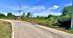 ขายที่ดิน นครปฐม หนองงูเหลือม อำเภอเมืองนครปฐม เนื้อที่16-2-39.4 ไร่ ราคาดี