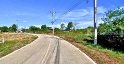 ขายที่ดิน นครปฐม หนองงูเหลือม อำเภอเมืองนครปฐม เนื้อที่16-2-39.4 ไร่ ราคาดี