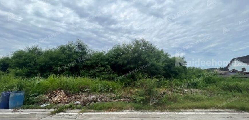 ขายที่ดินเปล่าทำเลดี ใจกลางเมืองบ้านฉาง ศูนย์กลางพานิชยกรรม