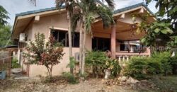 ขายบ้านพร้อมที่ดิน บ้านเดี่ยวพื้นที่เยอะมาก ร่มรื่น เงียบสงบ สำนักท้อน-บ้านฉาง