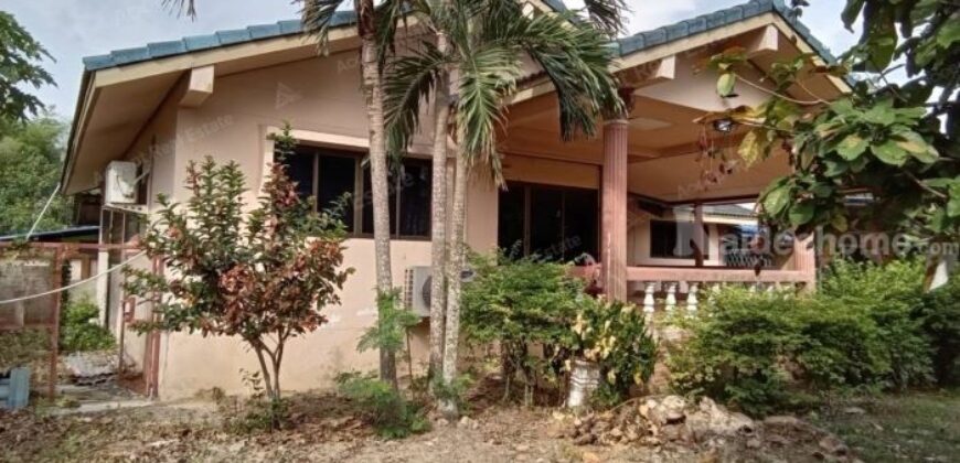 ขายบ้านพร้อมที่ดิน บ้านเดี่ยวพื้นที่เยอะมาก ร่มรื่น เงียบสงบ สำนักท้อน-บ้านฉาง