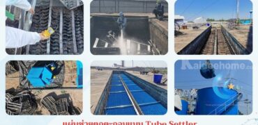 086-3771698 จำหน่าย แผ่นช่วยตกตะกอน แบบ Tube Settler คุณภาพดีราคาถูก