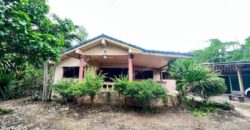 ขายบ้านพร้อมที่ดิน บ้านเดี่ยวพื้นที่เยอะมาก ร่มรื่น เงียบสงบ สำนักท้อน-บ้านฉาง