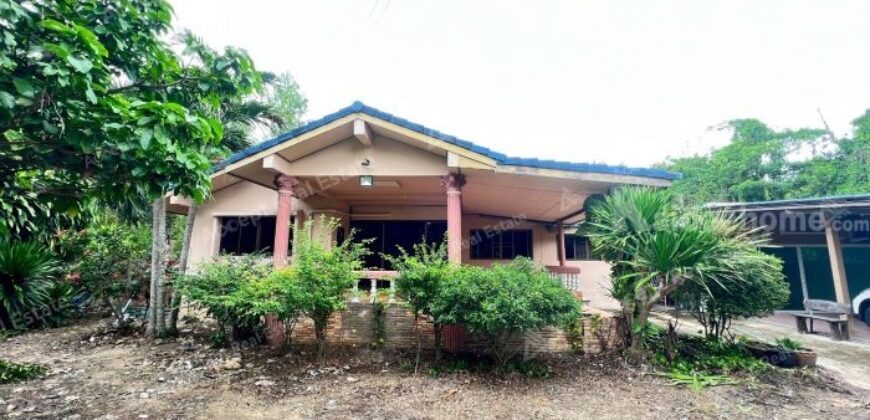 ขายบ้านพร้อมที่ดิน บ้านเดี่ยวพื้นที่เยอะมาก ร่มรื่น เงียบสงบ สำนักท้อน-บ้านฉาง