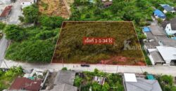 ขายที่ดินเปล่าทำเลดี ใจกลางเมืองบ้านฉาง ศูนย์กลางพานิชยกรรม