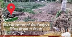 ขายที่ดินเปล่า บรรยากาศดี ล้อมรอบด้วยทุ่งนา ต.บางหลวง อ.สรรพยา จ.ชัยนาท