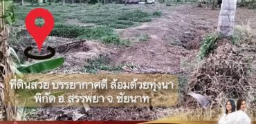 ขายที่ดินเปล่า บรรยากาศดี ล้อมรอบด้วยทุ่งนา ต.บางหลวง อ.สรรพยา จ.ชัยนาท