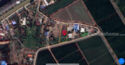 ขายที่ดินเปล่า บรรยากาศดี ล้อมรอบด้วยทุ่งนา ต.บางหลวง อ.สรรพยา จ.ชัยนาท