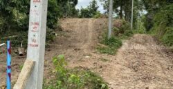 ขาย ที่ดิน ซีวิวสวยมากๆ ซอยอ่างทอง 6 เกาะสมุย สุราษฎร์ธานี