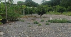 ขายที่ดินพัฒนาการ 30 เนื้อที่ 125 ตร.ว ขายถูก ซอยหมู่บ้านปัญญา ทำเลดี ไม่ลึก ไปทองหล่อ เอกมัย ทางด่วนพระราม 9 สะดวกมาก ใกล้สนามบินสุวรรณภูมิ เหมาะปลูกบ้าน 087-9074045