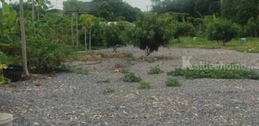 ขายที่ดินพัฒนาการ 30 เนื้อที่ 125 ตร.ว ขายถูก ซอยหมู่บ้านปัญญา ทำเลดี ไม่ลึก ไปทองหล่อ เอกมัย ทางด่วนพระราม 9 สะดวกมาก ใกล้สนามบินสุวรรณภูมิ เหมาะปลูกบ้าน 087-9074045