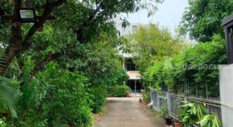 ขายที่ดินพร้อมบ้านเอกมัย สุขุมวิท เนื้อที่ 289 ตร.ว แปลงสวย ทำเลดี สภาพแวดล้อมดี สงบ เหมาะสร้างบ้าน ที่ดินบ้านเดี่ยวสุขุมวิท 63 Sukhumvit Ekkamai house for sale 087-9074045