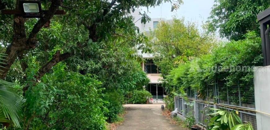 ขายที่ดินพร้อมบ้านเอกมัย สุขุมวิท เนื้อที่ 289 ตร.ว แปลงสวย ทำเลดี สภาพแวดล้อมดี สงบ เหมาะสร้างบ้าน ที่ดินบ้านเดี่ยวสุขุมวิท 63 Sukhumvit Ekkamai house for sale 087-9074045