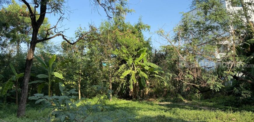 ขายที่ดินสุขุมวิท 60-121 ตร.ว วชิรธรรมสาธิต อุดมสุข แปลงสวย สภาพแวดล้อมดี เหมาะปลูกบ้าน ใกล้รถไฟฟ้า BTS ปุณณวิถี อุดมสุข ใกล้ซีคอน เซ็นทรัลบางนา ราคาดีคุยได้เลย sukhumvit land sale 087-9074045