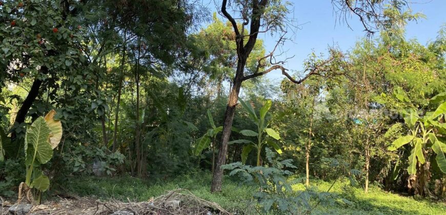 ขายที่ดินสุขุมวิท 60-121 ตร.ว วชิรธรรมสาธิต อุดมสุข แปลงสวย สภาพแวดล้อมดี เหมาะปลูกบ้าน ใกล้รถไฟฟ้า BTS ปุณณวิถี อุดมสุข ใกล้ซีคอน เซ็นทรัลบางนา ราคาดีคุยได้เลย sukhumvit land sale 087-9074045