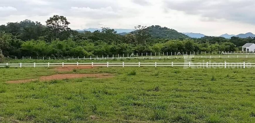 ขายที่ดินเขาใหญ่ วิวเขาสวยมาก 4-5 ไร่ อยู่ขนงพระ ปากช่อง นครรราชสีมา ใกล้เส้น 2235 ใกล้ สนามกลอฟ์แรนโชว์ เหมาะปลูกบ้าน ทำรีสอร์ท คาเฟ่ พูลวิลล่า 087-907-4045