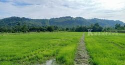 ขายที่ดินนครนายก ที่ติดน้ำ วิวเขาล้อมรอบสวยมาก 4.5 ไร่ เขาพระ อ.เมือง ที่ริมน้ำ ติดถนนลาดยาง ใกล้เมือง ก่อนถึงน้ำตกสาริกา เขื่อนขุนด่าน ใกล้ห้าง ตลาด โรงพยาบาล เหมาะปลูกบ้านสวนเกษียณ #ที่ดินวิวเขาใกล้กรุงเทพ 087-9074045