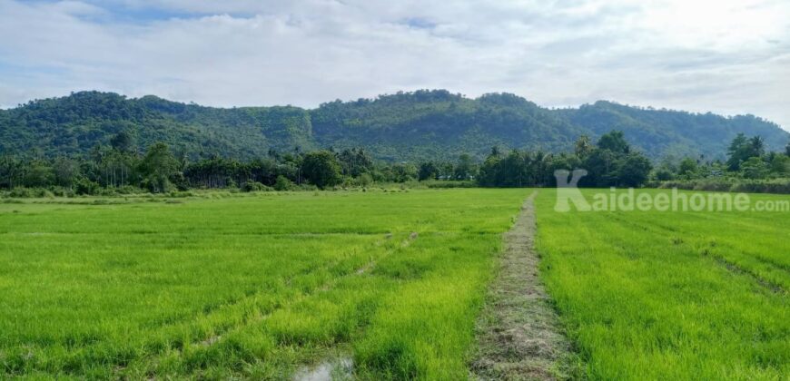 ขายที่ดินนครนายก ที่ติดน้ำ วิวเขาล้อมรอบสวยมาก 4.5 ไร่ เขาพระ อ.เมือง ที่ริมน้ำ ติดถนนลาดยาง ใกล้เมือง ก่อนถึงน้ำตกสาริกา เขื่อนขุนด่าน ใกล้ห้าง ตลาด โรงพยาบาล เหมาะปลูกบ้านสวนเกษียณ #ที่ดินวิวเขาใกล้กรุงเทพ 087-9074045