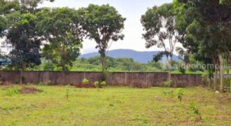 ขายที่ดินเขาใหญ่ หมูสี 278 ตร.ว มี 2 แปลงติดกัน วิวเขาใหญ่สวย อยู่บ้านท่าช้าง เส้นน้ำผุดธรรมชาติ ใกล้ธนะรัชต์ ในโครงการส่วนตัว มี รปภ. ปลอดภัย บรรยากาศดี ร่มรื่นต้นไม้เยอะ ราคาดีมาก 087-9074045