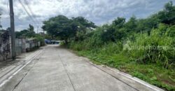 ขายที่ดินเปล่าทำเลดี ใจกลางเมืองบ้านฉาง ศูนย์กลางพานิชยกรรม