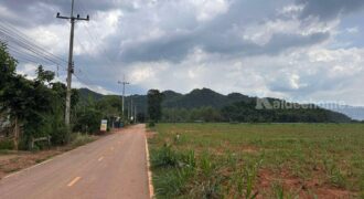 ขายถูก ที่ดินเขาใหญ่ ขนงพระ 2 ไร่ ที่ล้อมรอบด้วยเขา วิวเขาสวยมาก ติดถนนลาดยาง ใกล้เส้น 2213, 2311 2235 วังกระทะ หนองสาหร่าย ปากช่อง เหมาะทำบ้านสวน พูลวิลล่า ที่สวยราคาดีมาก 087-9074045