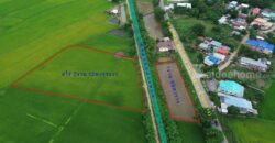 Land for sale Chaiyaphum ขายที่ดินชัยภูมิ มี 2 แปลง สามารถถมดิน ทำบ้าน ทำธุรกิจค้าขายได้ โทร 061-1195112