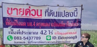 ด่วน ขายที่ดินแม่สอด-ห้วยกระโหลก จำนวน 42 ไร่ (ที่ดินมีโฉนด นส.4 ครุฑแดงแปลงเดียวในย่านนี้)