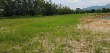 ขายที่ดินสวย 100 ตร.ว. น้ำ ไฟฟ้าพร้อม ใกล้โรงเรียนเตรียมทหาร อ.บ้านนา จ.นครนายก โทร 0812931531