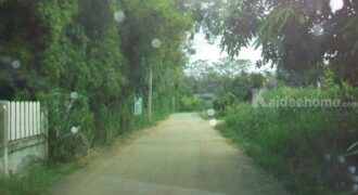 ขายที่ดิน ขนาด 7ไร่ สวย ลำลูกกา,ปทุมธานี ทำเลดี ราคาดี โทร 082-4789822