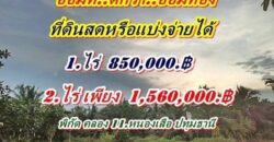 ออมที่ดีกว่าออมทองที่ดินสดหรือแบ่งจ่ายได้ที่คลอง11.หนองเสือ T.062-1574449