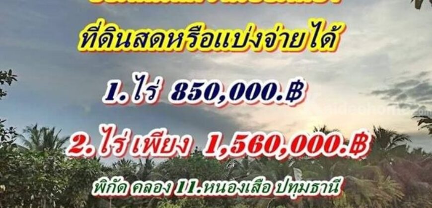 ออมที่ดีกว่าออมทองที่ดินสดหรือแบ่งจ่ายได้ที่คลอง11.หนองเสือ T.062-1574449