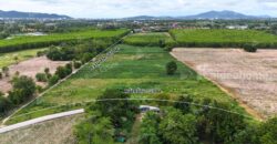 ขายที่ดินเปล่าใกล้ทะเล โลเคชั่นดี หาดพยูน บ้านฉาง ระยอง