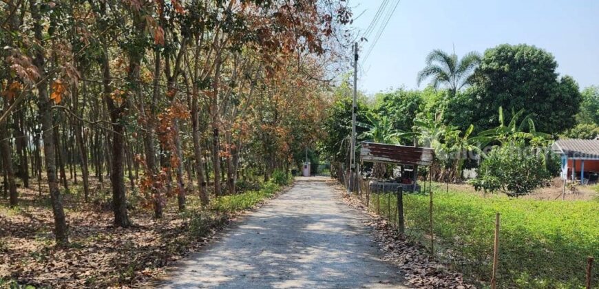 ขายที่ดินเปล่าติดธรรมชาติเหมาะสำหรับสร้างบ้าน สงบ ร่มรื่น ทับมา ระยอง ขายที่ดินเปล่าติดธรรมชาติเหมาะสำหรับสร้างบ้าน สงบ ร่มรื่น ทับมา ระยอง