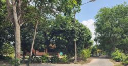 ขายที่ดินเปล่าติดธรรมชาติเหมาะสำหรับสร้างบ้าน สงบ ร่มรื่น ทับมา ระยอง ขายที่ดินเปล่าติดธรรมชาติเหมาะสำหรับสร้างบ้าน สงบ ร่มรื่น ทับมา ระยอง