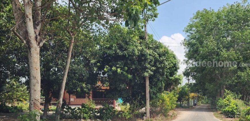 ขายที่ดินเปล่าติดธรรมชาติเหมาะสำหรับสร้างบ้าน สงบ ร่มรื่น ทับมา ระยอง ขายที่ดินเปล่าติดธรรมชาติเหมาะสำหรับสร้างบ้าน สงบ ร่มรื่น ทับมา ระยอง