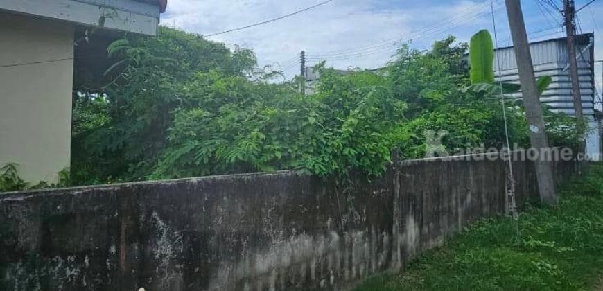 ขายที่ดินแปลงขนาดเล็กใกล้เซ็นทรัลระยอง อำเภอเมือง ระยอง ขายที่ดินแปลงขนาดเล็กใกล้เซ็นทรัลระยอง อำเภอเมือง ระยอง